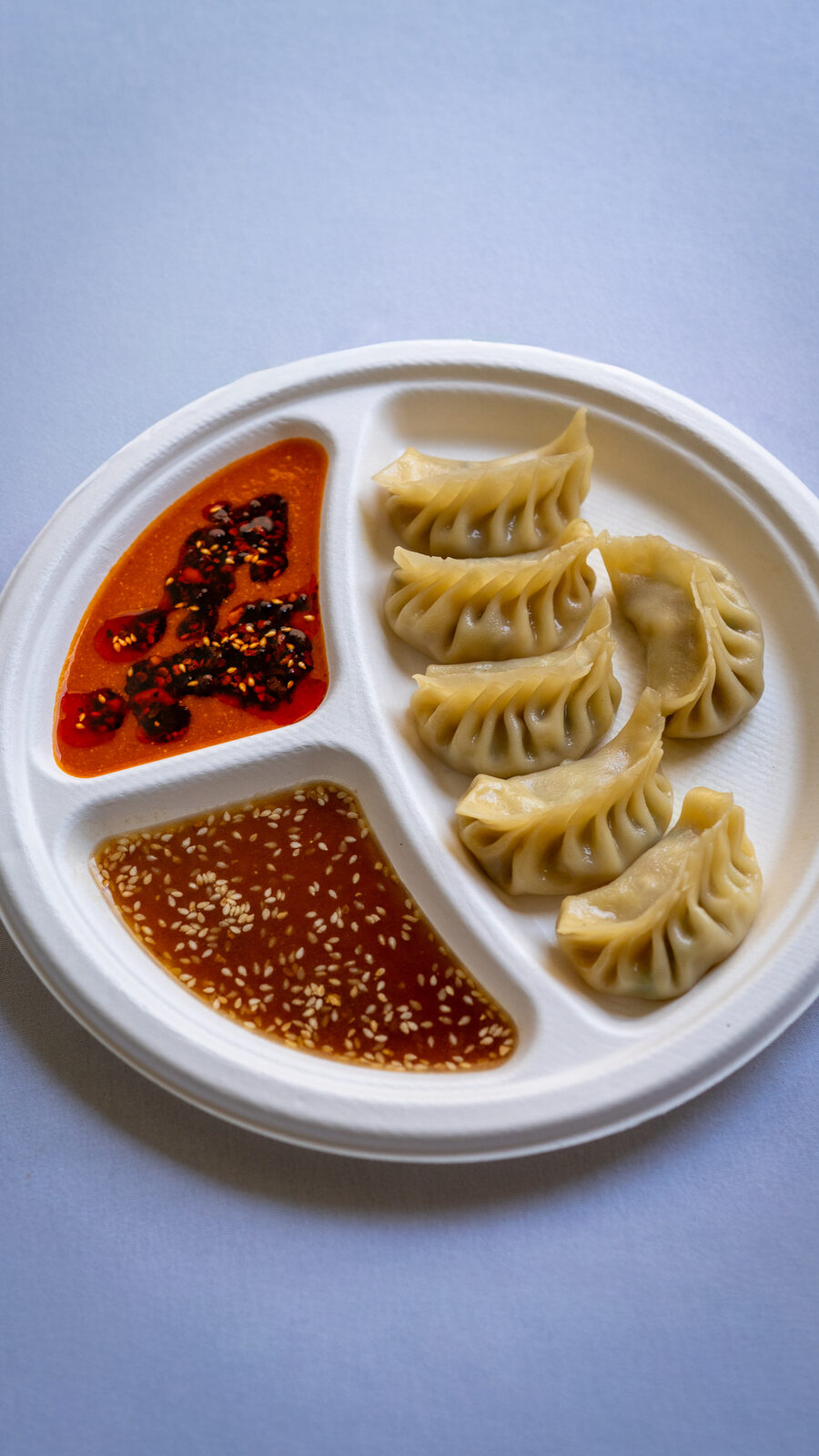Chicken dumplings